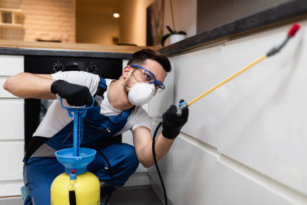 Best Pest Control Near Me  in Amboy, WA