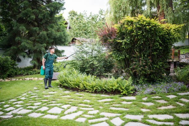 Best Pest Removal Services  in Amboy, WA