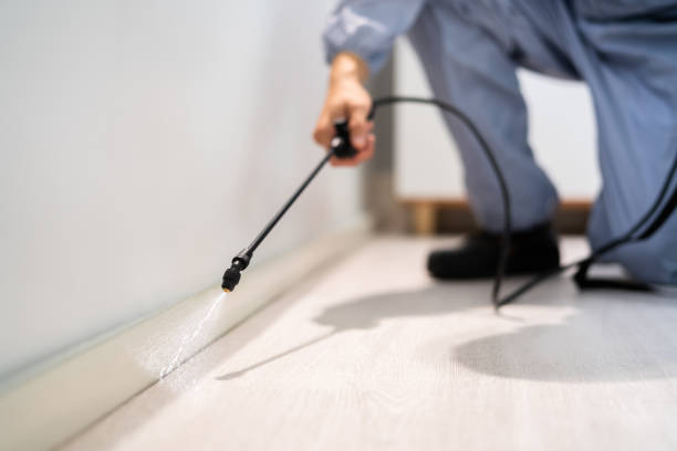 Best Flea Control Services  in Amboy, WA