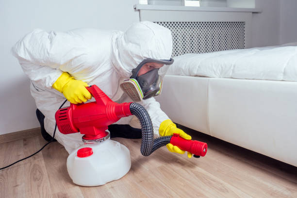 Reliable Amboy, WA Pest Control Solutions