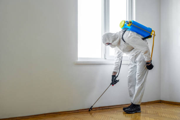 Best Best Pest Control Companies  in Amboy, WA